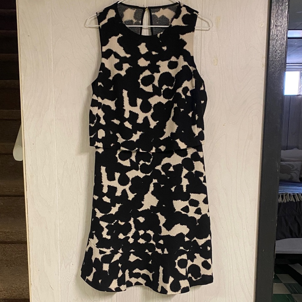 Banana Republic Black and Cream Dress